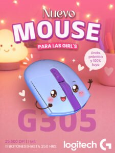 Flyer copia