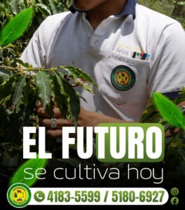 futuro